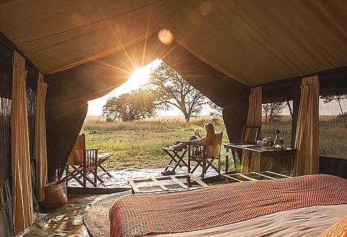 Tented Camps